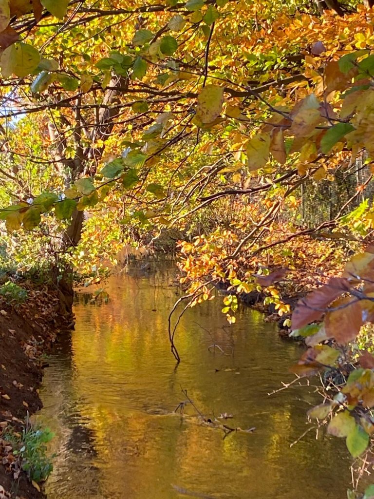 Wandern im Teutoburger Wald Detmold